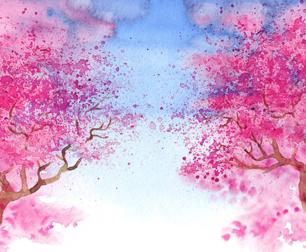 illustration of blooming sakura