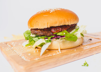 burger and french fries