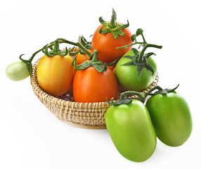 Tomatoes red , green and yellow in basket on white background