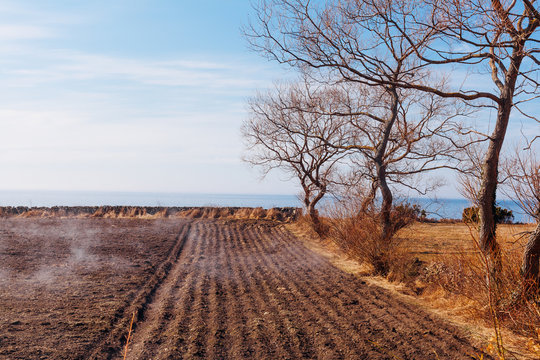 &aring;ker om v&aring;ren