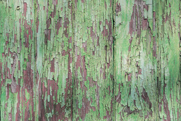 Wooden door texture with pealing paint