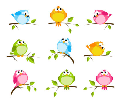 Set of cute color birds