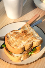 Yummy Beef and cheese Grilled Sandwich on round cream color plat