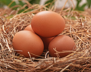 Place the eggs in a hay