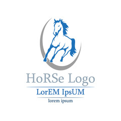Horse logo.Vector
