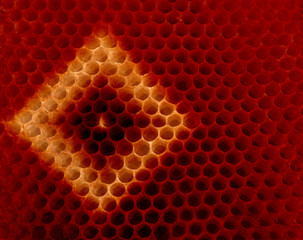 honeycomb abstract background