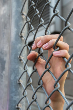 Hand in the cage