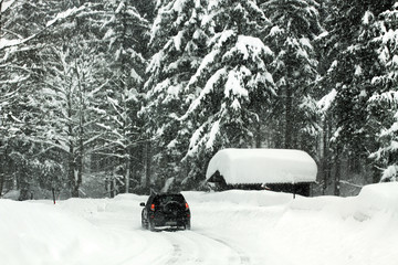 Blizzard on the Austrian Alps