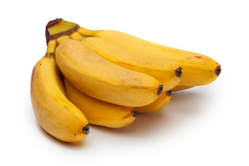 bunch of small bananas isolated on white