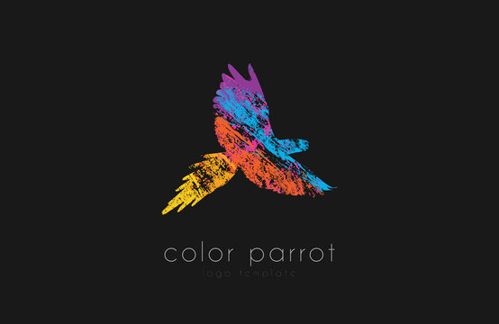 Parrot logo design. Color parrot. Bird logo. Exotic logo.