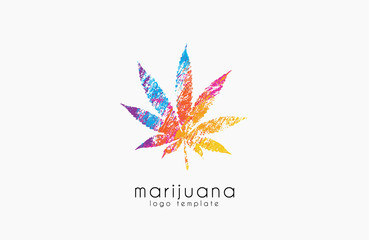 marijuana leaf logo. color marijuana logo. drug logo. creative logo design.