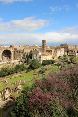 Fototapeta na wymiar Rome,Italy,Roman Forum,Foro Romano,spring.