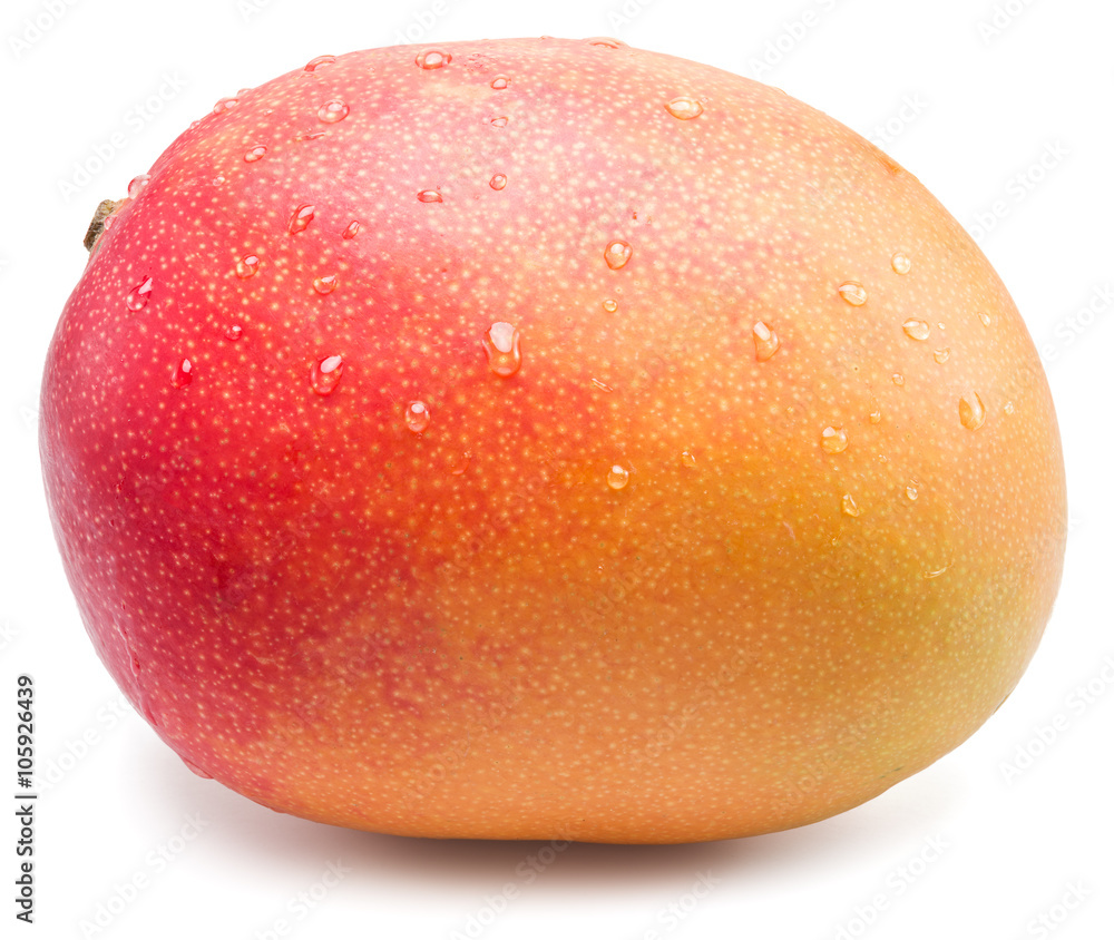 Wall mural mango fruit with water drops. isolated on a white background.