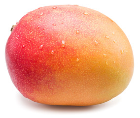 Mango fruit with water drops. Isolated on a white background.
