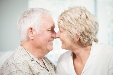 Happy senior couple touching nose