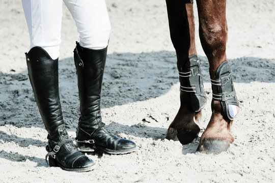 &eacute;quitation jambes pied pattes cheval cavalier botte
