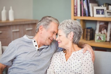 Happy senior couple sitting on sofa