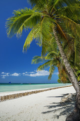 Plakat exotic tropical empty beach in paradise boracay island philippi