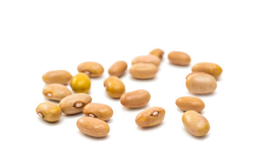 kidney beans isolated