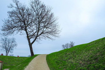 A view of Copenhagen, Denmark