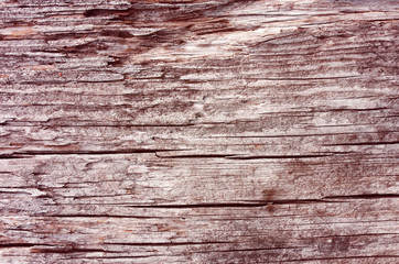 Old wooden background. Wood texture