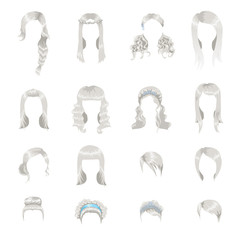 Set of sixteen different gray hairstyles for women