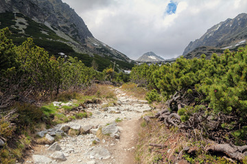 beautiful Mlynicka Valley in Slovak High Tatra © chrupka