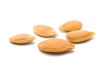 pumpkin seeds isolated