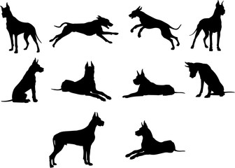 Dog, breed, Dog, vector, graphic,animal, illustration, art, picture