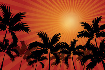 Fototapeta na wymiar black palm trees on the background of sun rays