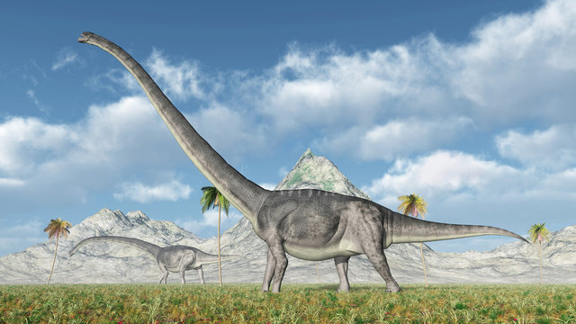 Dinosaur Omeisaurus