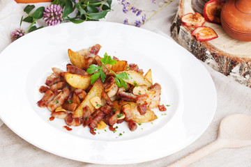 potato wedges with bacon on a plate