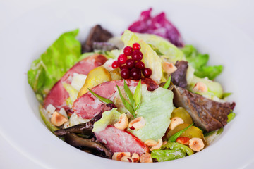 food, salad with iceberg, meat, mushrooms, pickles and hazelnuts piquant