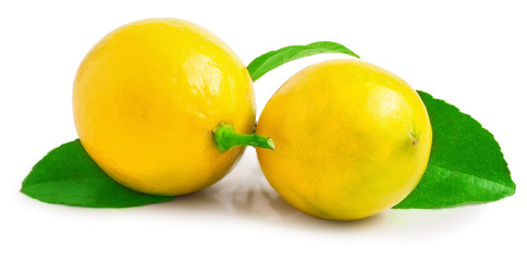 Two lemons with leaf