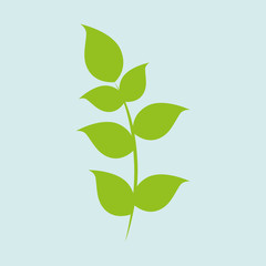 leaf icon  design 