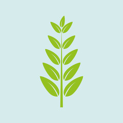 leaf icon  design 