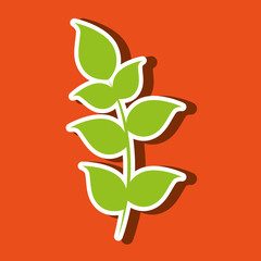 leaf icon  design 