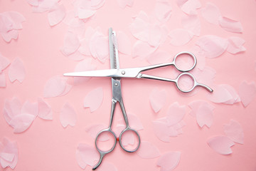 hairdressing scissors and sakura petals