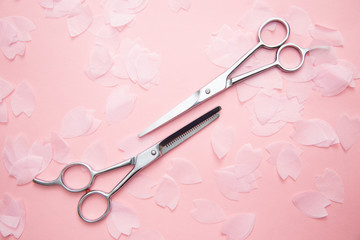 hairdressing scissors and sakura petals