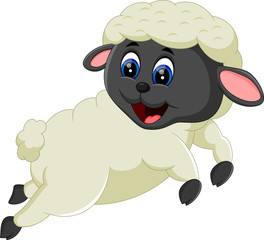 Cute cartoon sheep character