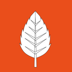 leaf icon  design 