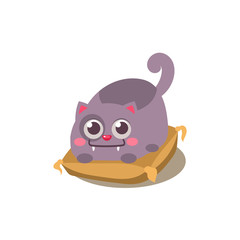 Cat Laying On Pillow