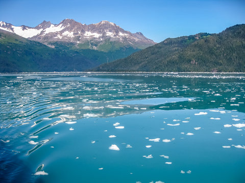 Sea covered with floating ice seen from the cruise in Kenai Fjords National Park in summer, Alaska, USA.
