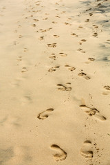 Footprints on wet sand of the beach