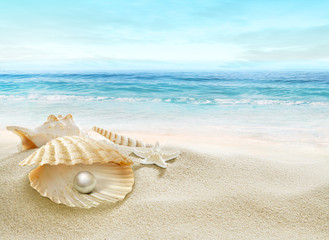 The shell with a pearl.