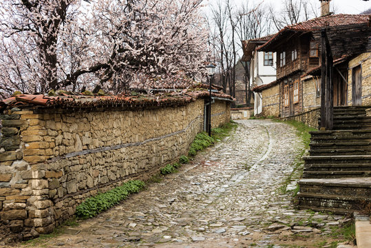 Street of Jeravna, village in Bulgaria, Europe