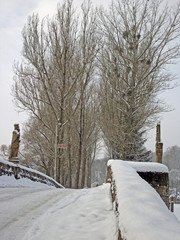 Brücke und Pappeln im Winter