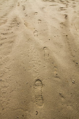 Fototapeta na wymiar footprints in the sand in sunlight