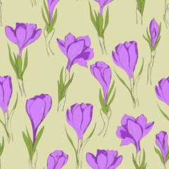 crocus seamless patterm 3