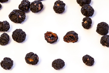 Tasmanischer Pfeffer